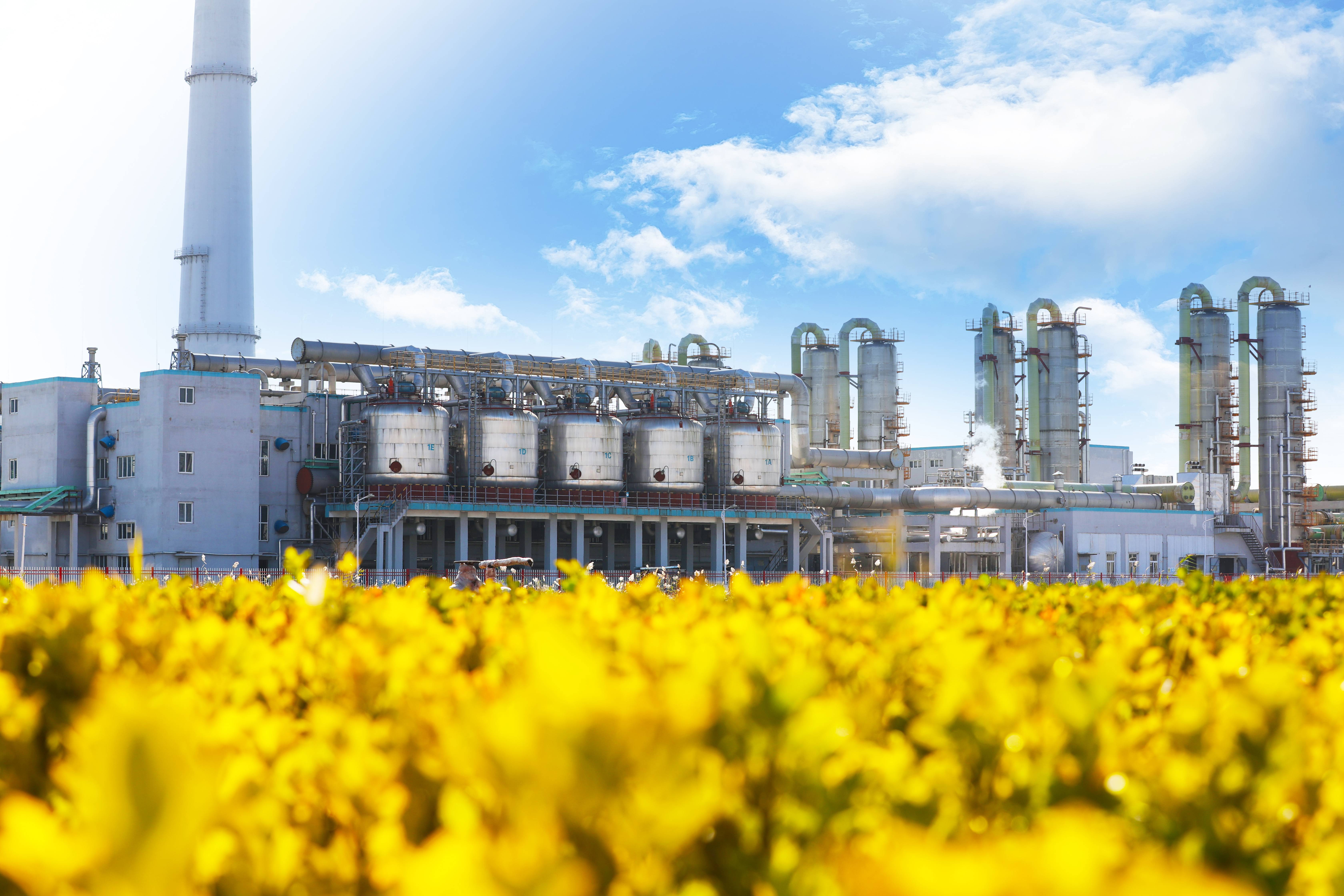 K8·凯发(中国)天生赢家·一触即发